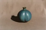 Bilobe Bottle