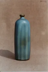 Loop bottle