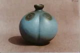 Bilobe Bottle