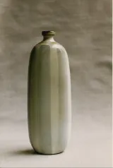 Bottle