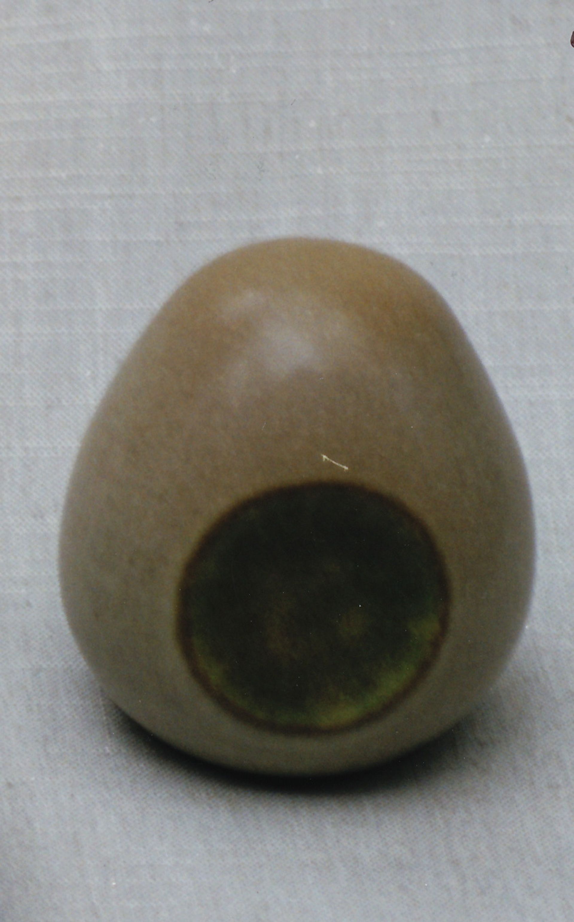 Egg