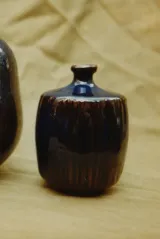 Bottle-vase