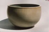 Salad bowl